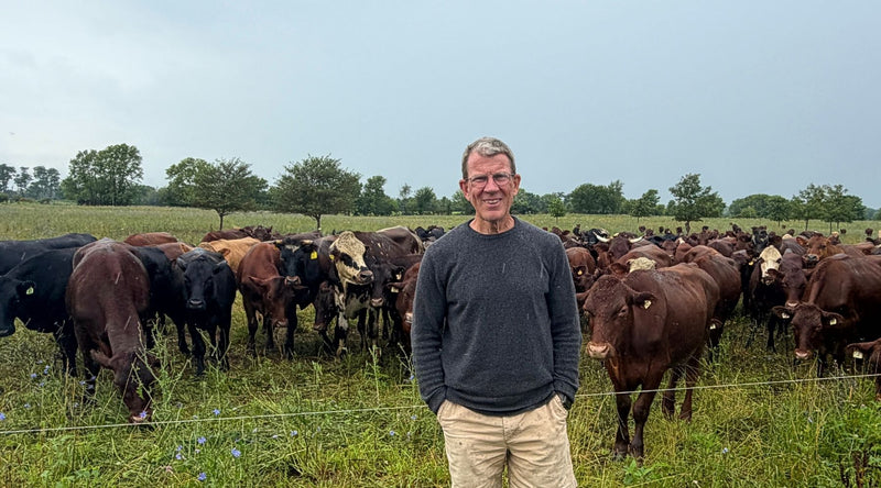 A regenerative family farm with grazing cattle, representing how community support and responsible farming help preserve farmland.