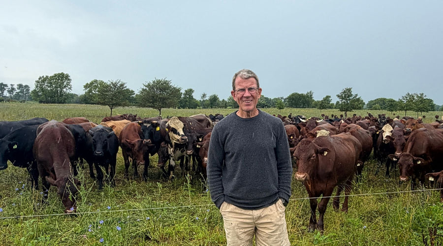 A regenerative family farm with grazing cattle, representing how community support and responsible farming help preserve farmland.