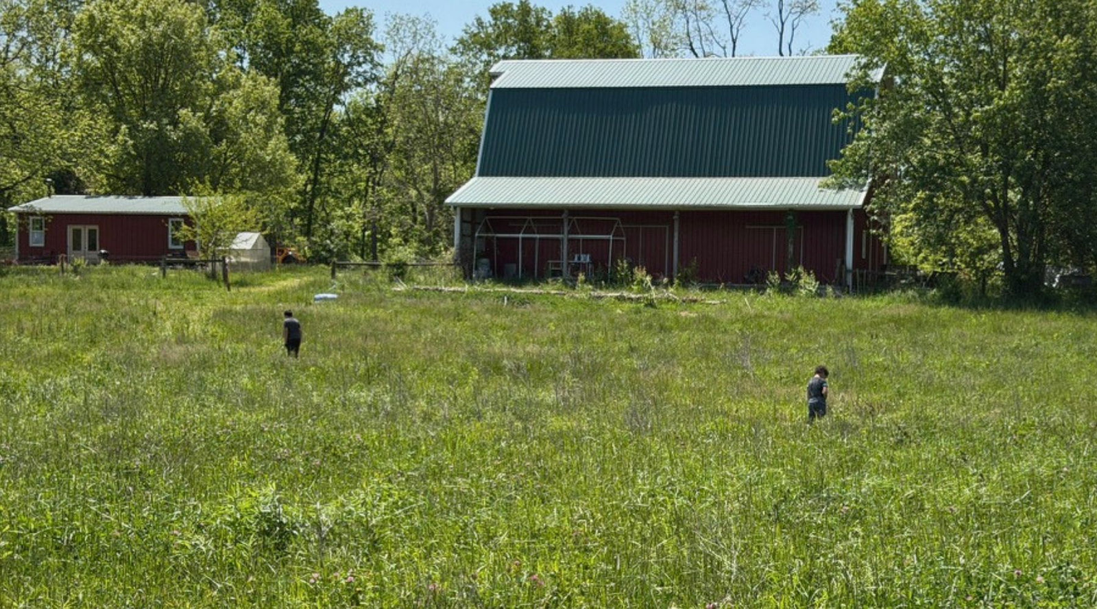 A Pasture Works in Layers